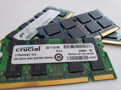 Ram.jpg