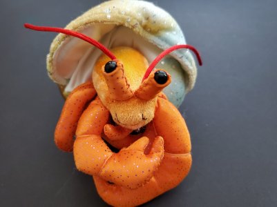 Crab.jpg