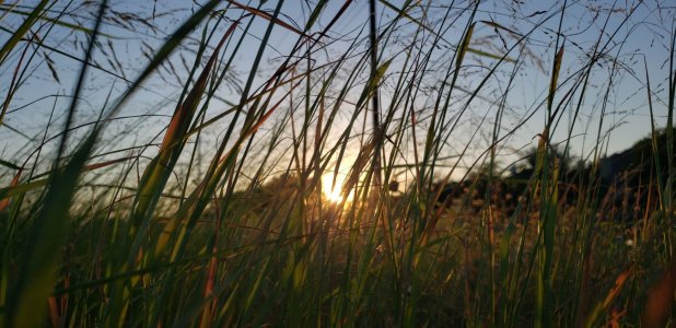 20190718_201638.jpg