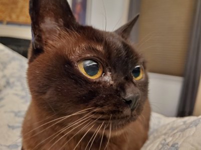 20190501_221323.jpg