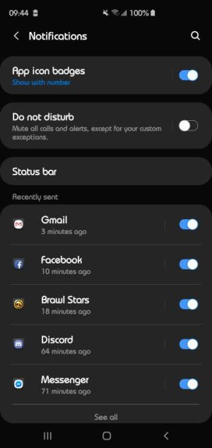 Screenshot_20190321-094454_Settings.jpeg