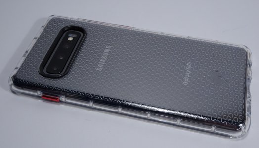 nim02.jpg