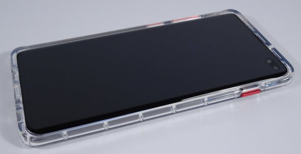 nim05.jpg