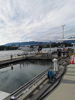 IMG_20190609_184128.jpg