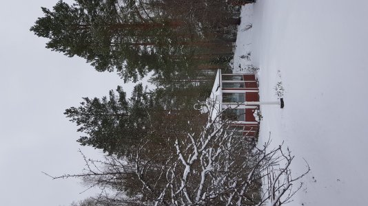 20190503_172039.jpg