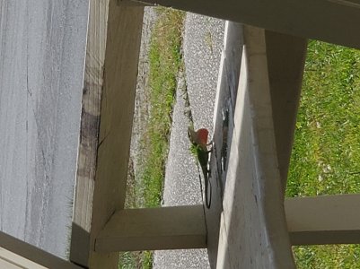 20190503_104613.jpg
