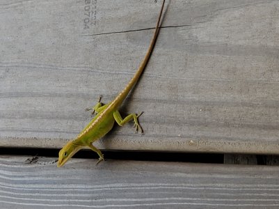 20190503_113454.jpg