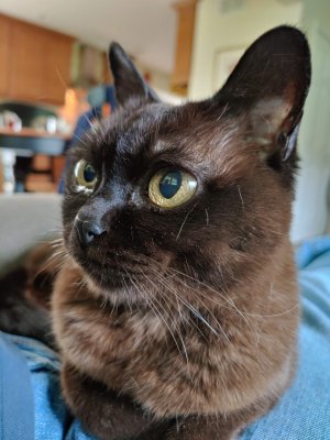 20190504_124430_HDR.jpg