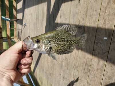 20190502_164937.jpg