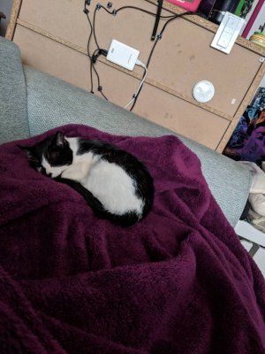 image-20190505_103708.jpeg