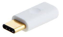 type C.png