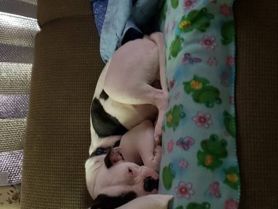 5859.jpg