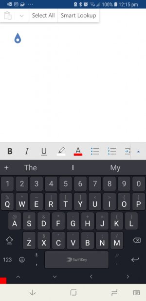 Screenshot_20190508-121534_Word.jpg