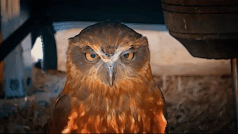 getting mad.jpg