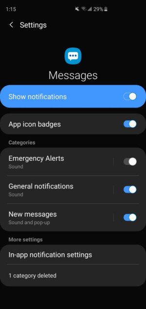 Screenshot_20190728-131520_Settings.jpeg