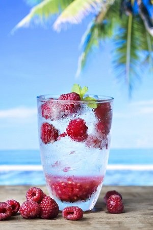 1566385920-fooddrinks0172.jpg 1566385920-fooddrinks0172.jpg