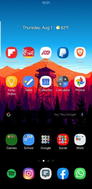 Screenshot_20190801-100102_One UI Home.jpg