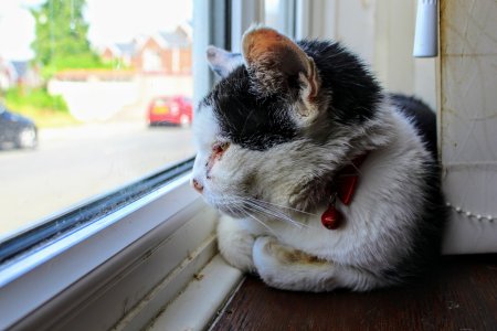 20190729144308_IMG_0013.jpg