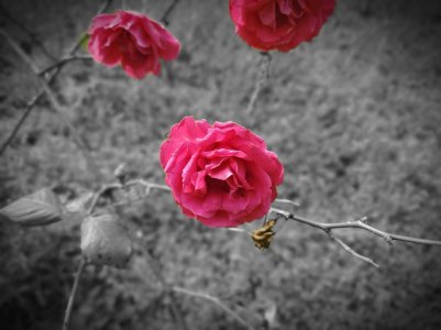 20190513_164233_compress70.jpg