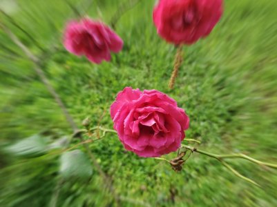 20190513_164227_compress3.jpg