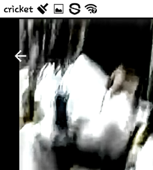 received_425710594703425.png