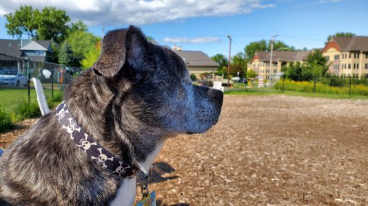 20190822_163418.jpg
