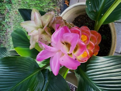 20190822_191031.jpg