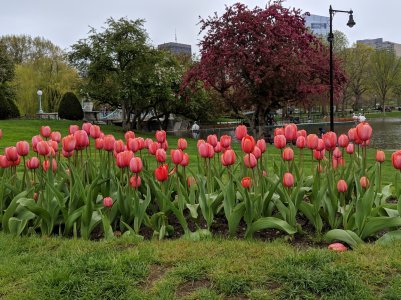 IMG_20190504_140159.jpg