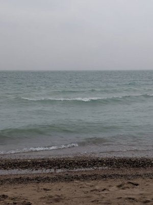 41483.jpg