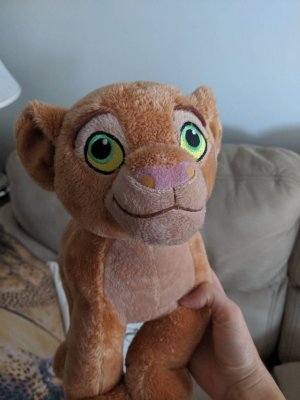 45939.jpg