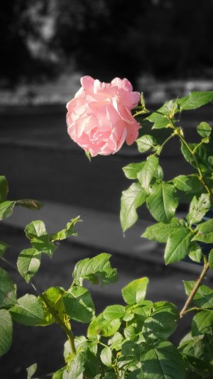 20190824_100559.jpg