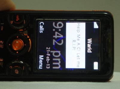 P1010033.jpg