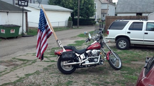 Softail.jpg