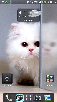 uploadfromtaptalk1364356983936.jpg