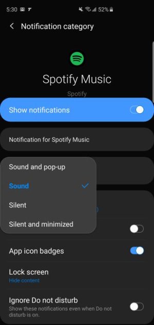 Screenshot_20190521-173005_Settings.jpeg