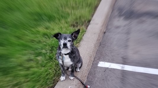 20190824_062736.jpg
