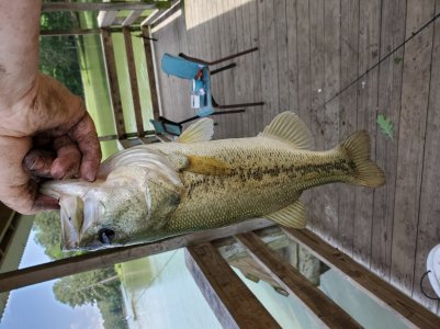 20190519_140639.jpg