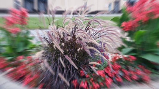 20190824_063345.jpg