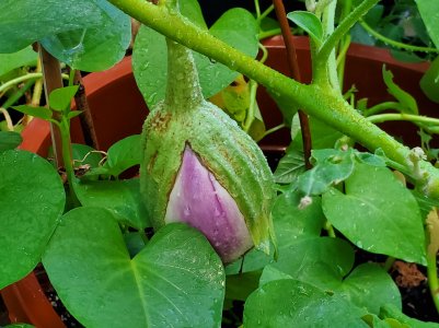 20190824_074119.jpg