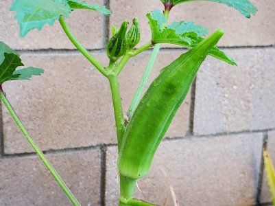 20190824_074158.jpg