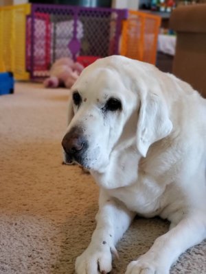 20190824_103819.jpeg