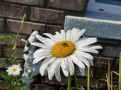 20190627_092320.jpg