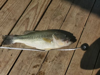 20190523_214448.jpg