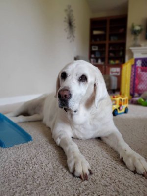 20190825_102723.jpeg