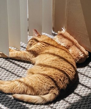 20190525_123141.jpeg