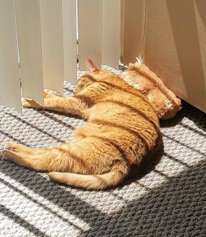 20190525_123129.jpeg