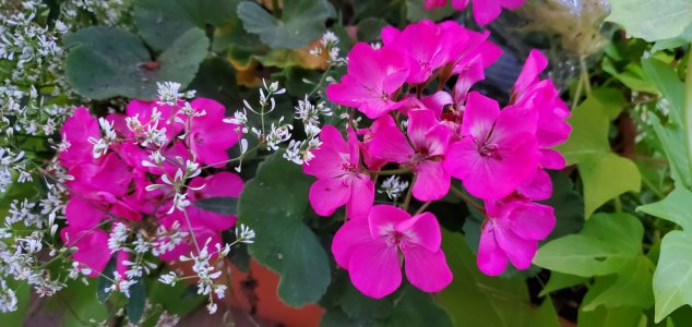 20190825_201139.jpg