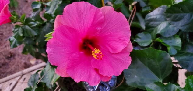 20190825_201122 smaller.jpg