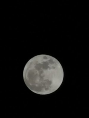 IMG_20190815_225119.jpg