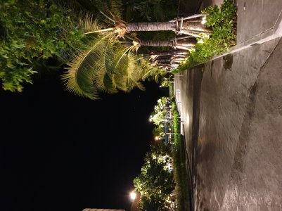 20190529_225156.jpg